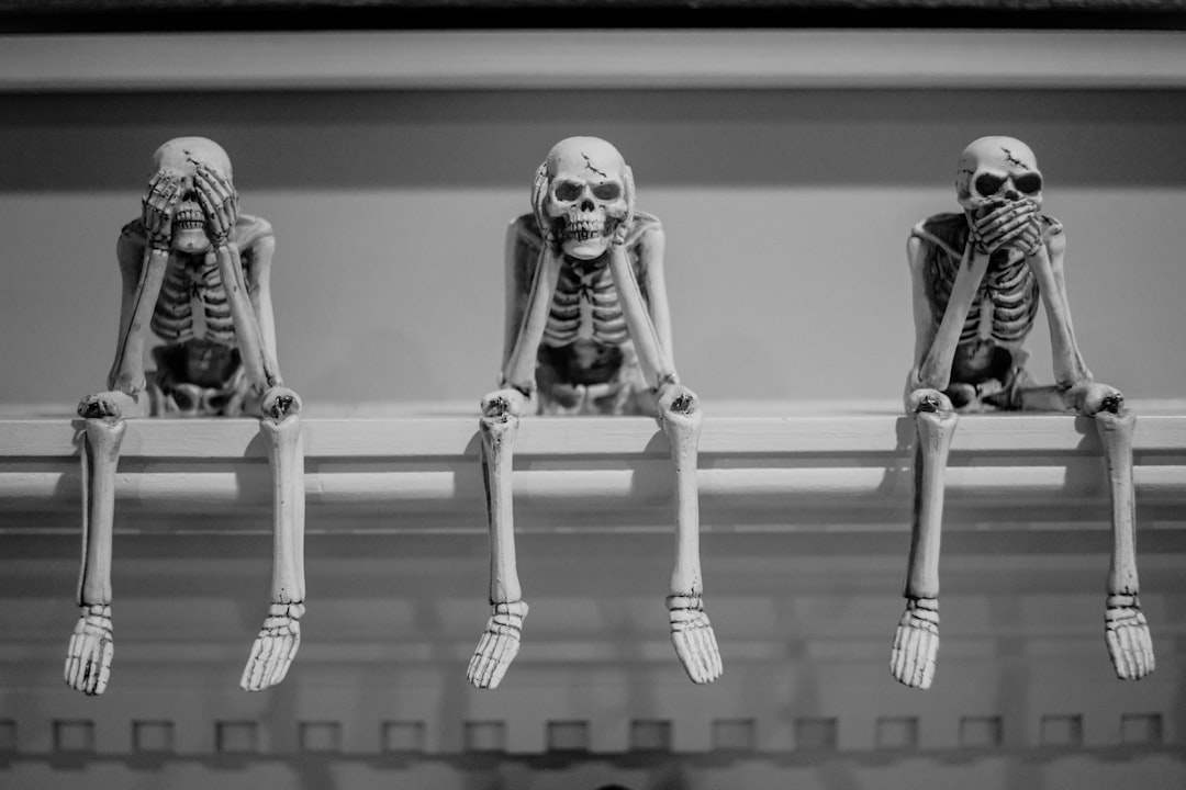 Photo Human skeleton